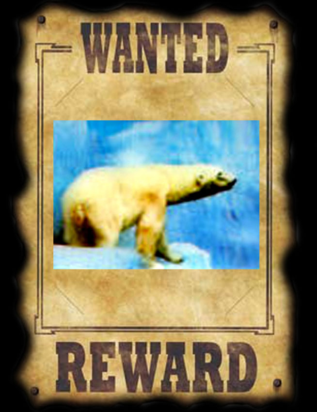 WANTED POLAR BEAR.jpg