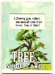 Tree Slide Card.jpg